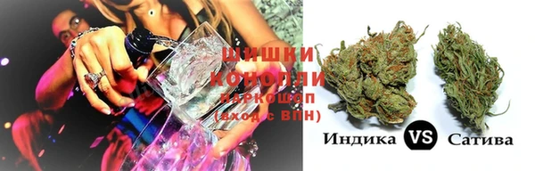 шишки Надым