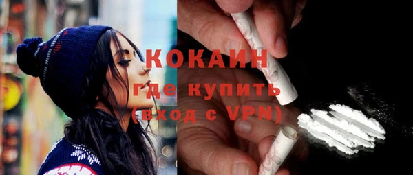 шишки Надым