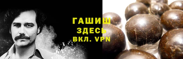 ешки Алексин