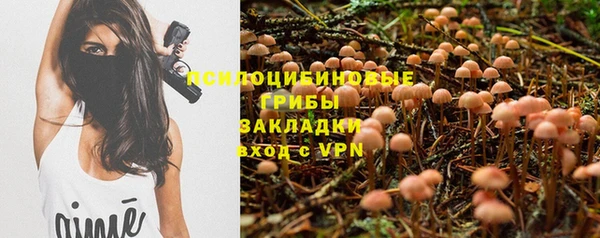 ешки Алексин