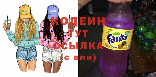 шишки Надым