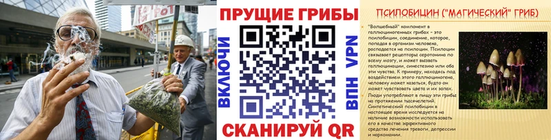 Псилоцибиновые грибы Magic Shrooms  купить наркотики сайты  Копейск 