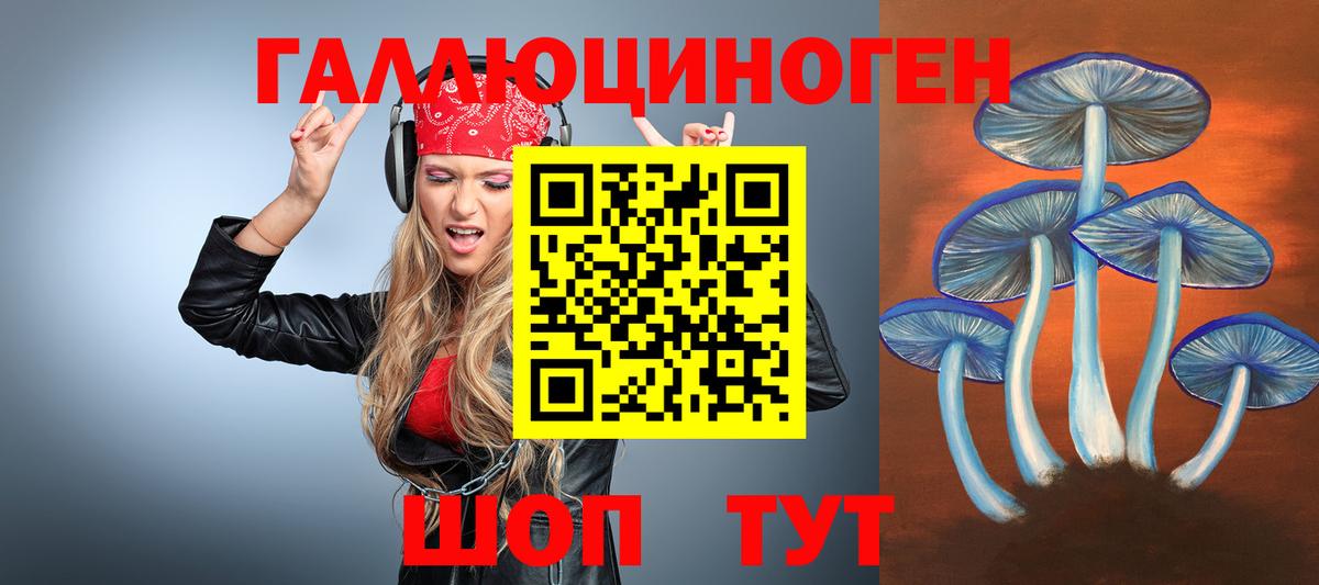 где купить наркоту  Псилоцибиновые грибы мухоморы  Вход с VPN  Копейск 